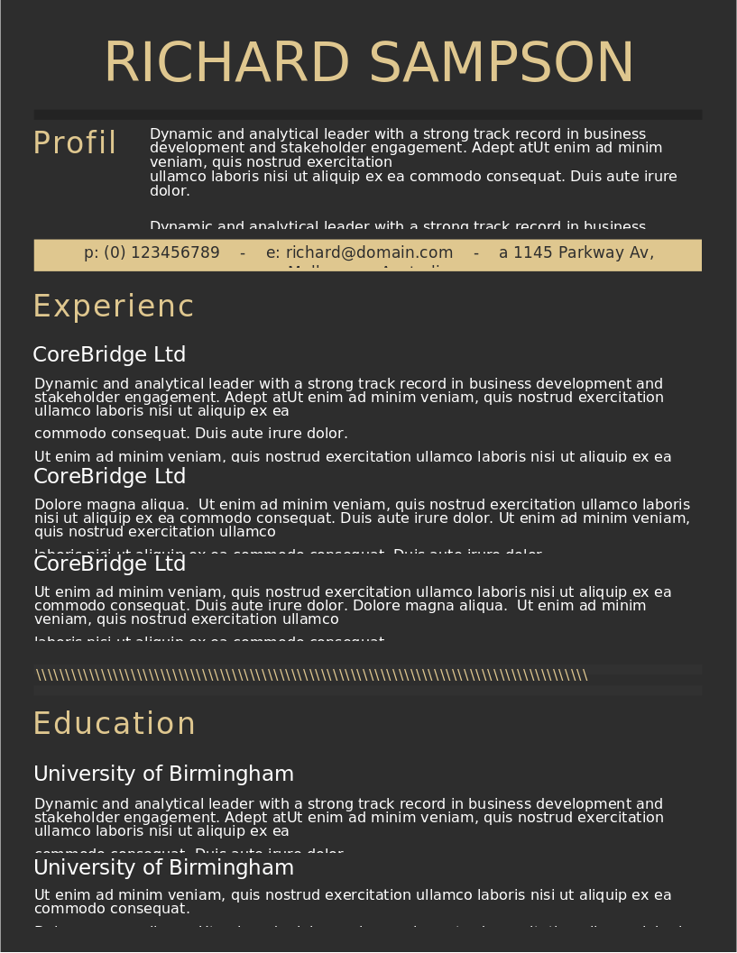 Elegant Dark Grey CV preview